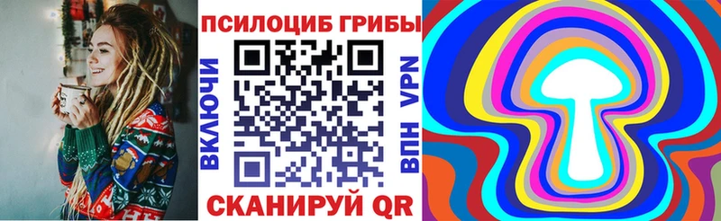 закладка  Суоярви  Псилоцибиновые грибы GOLDEN TEACHER 